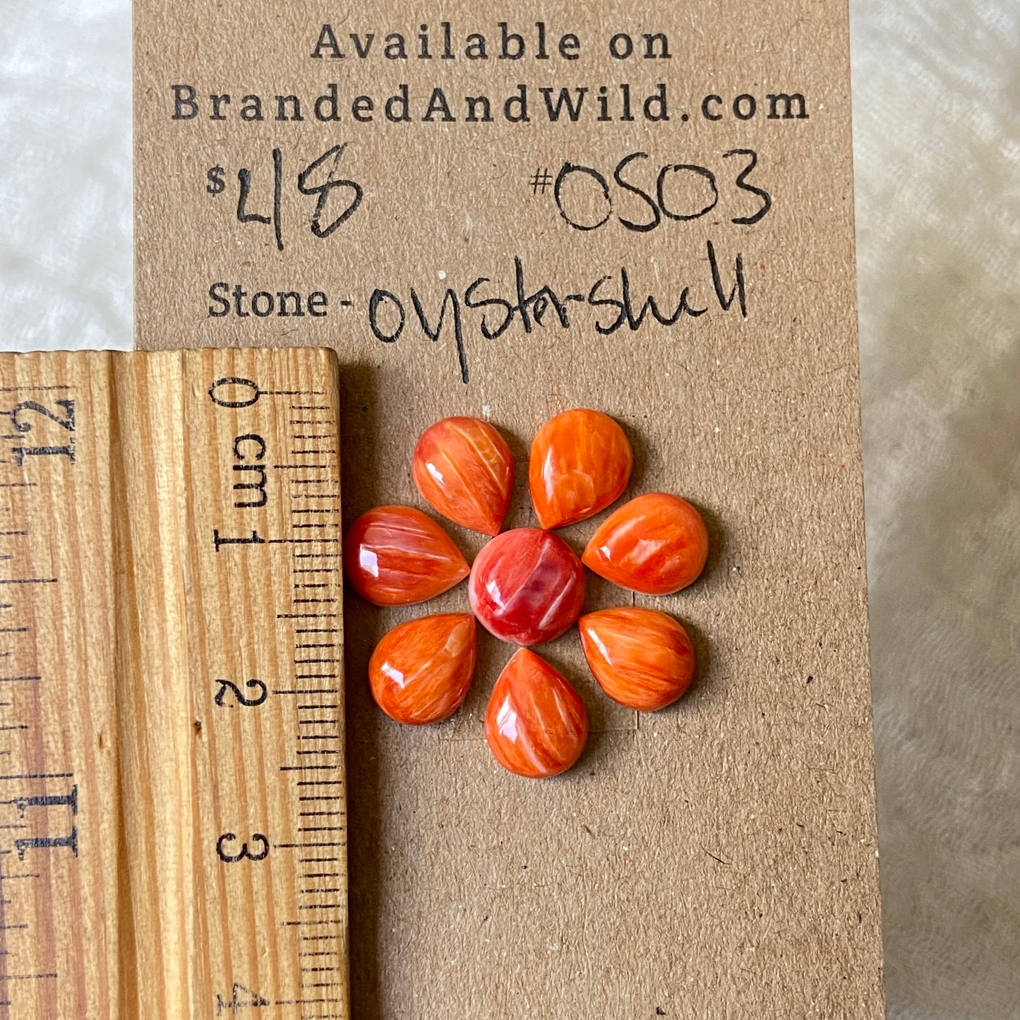 Oystershell Cabochon - OS03 23E27380-1537-4044-906B-98AF5AC889BD Brandedandwild.com