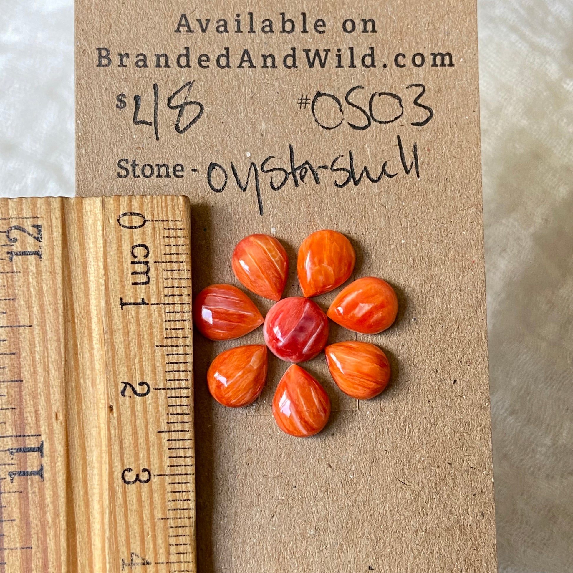 Oystershell Cabochon - OS03 23E27380-1537-4044-906B-98AF5AC889BD Brandedandwild.com