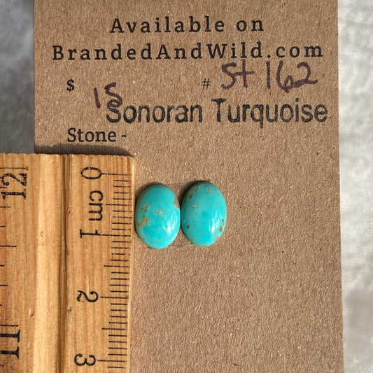 Sonoran Turquoise Cabochon - ST162