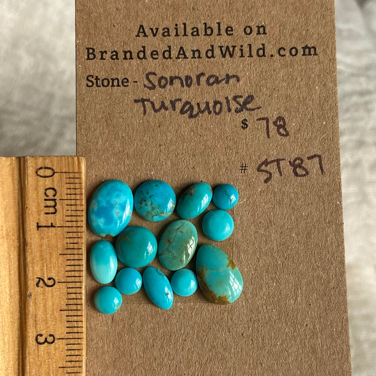 Sonoran Turquoise Cabochon - ST87