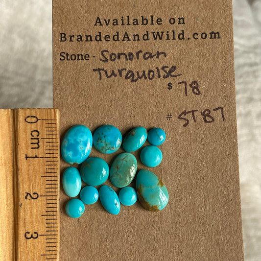 Sonoran Turquoise Cabochon - ST87
