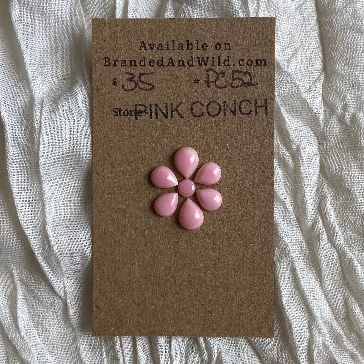 Pink Conch Cabochon - PC52 241091A8-4EA8-4017-AFE2-4D71DBF3B87D Brandedandwild.com