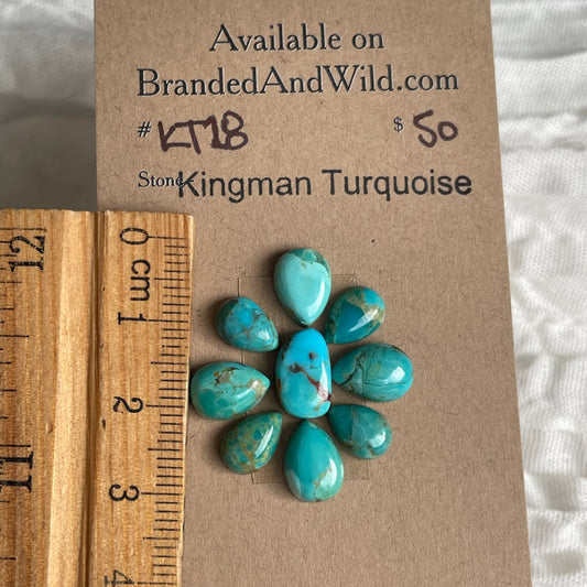 Kingman Turquoise Cabochon - KT18 241D8F76-1061-476A-86ED-EB3823AB0D54 Brandedandwild.com