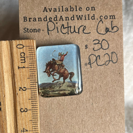 Picture Cabochon - Cabochon - PC20 241F5641-2965-4FC4-954D-5F9C35E663AC Brandedandwild.com