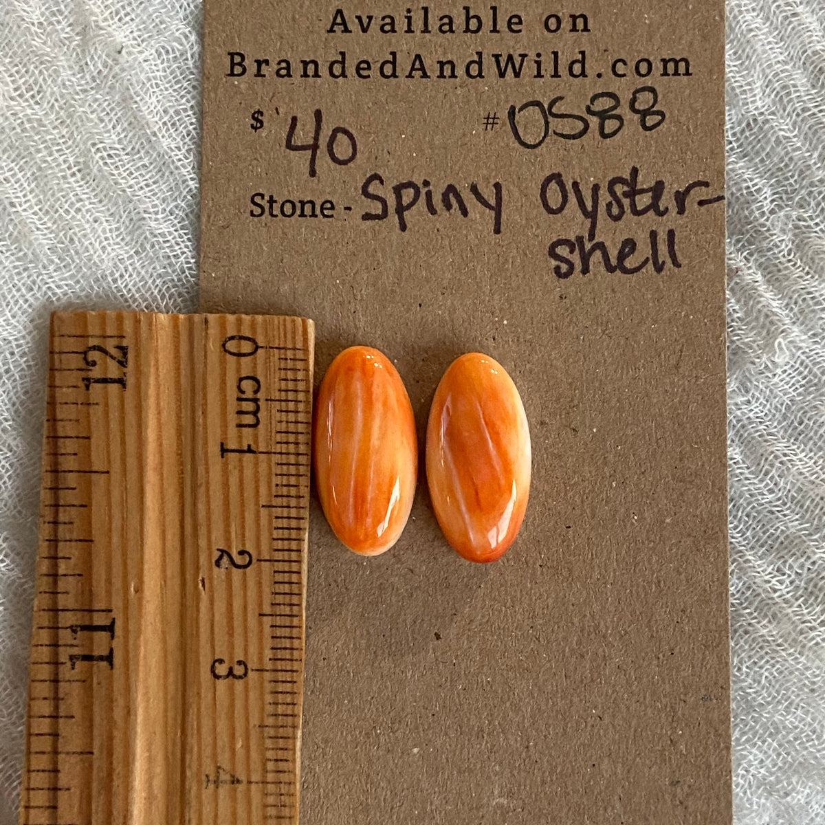 Oyster Shell Cabochon - OS88