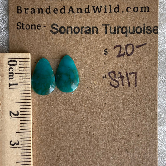 Sonoran Turquoise Cabochon - ST17