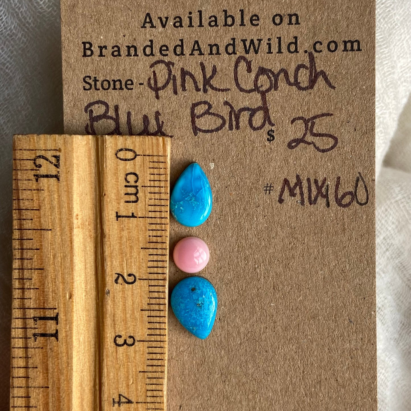 Blue Bird /  Pink Conch Cabochon - MIX160