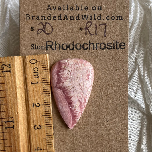 Rhodochrosite Cabochon - R017 247DA114-252A-45CB-BCE3-DF5168875878 Brandedandwild.com