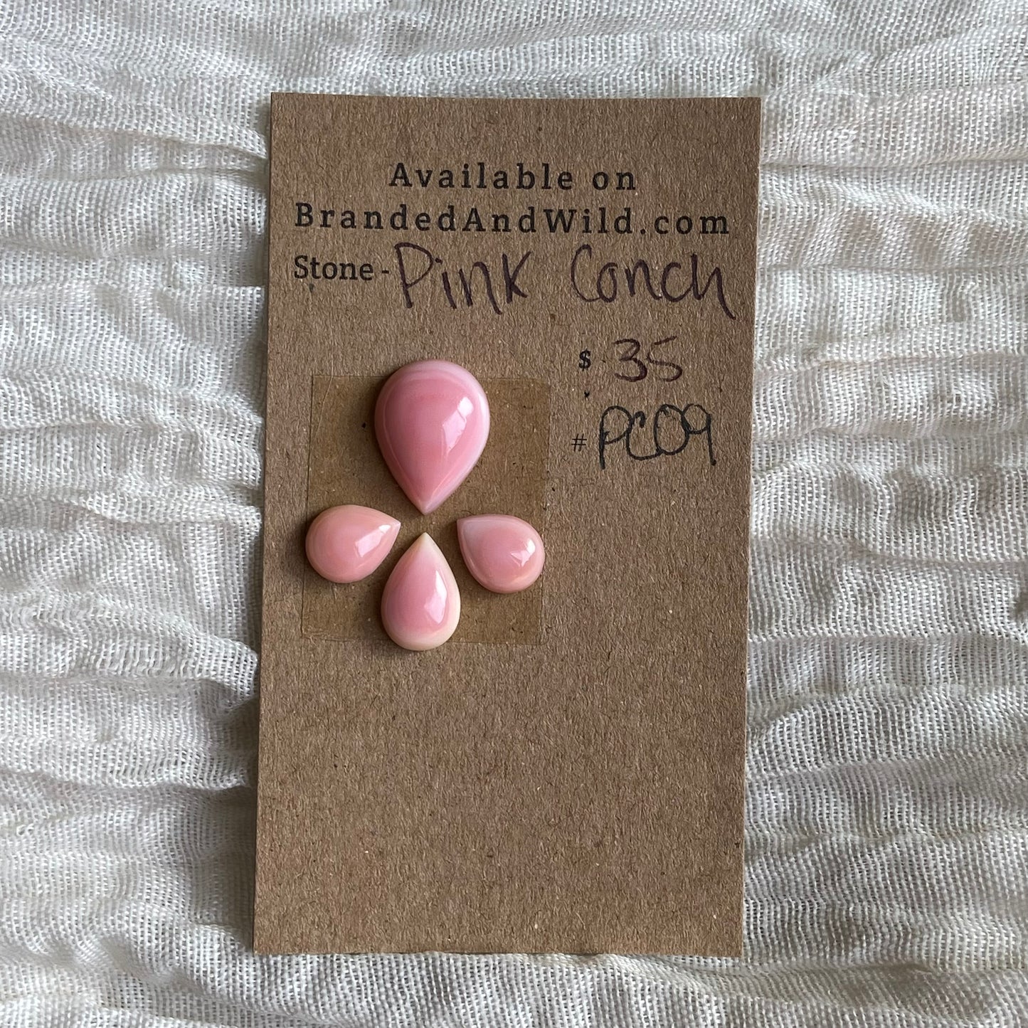 Pink Conch Cabochon - PC09 249C2950-DCEC-4A0A-93F7-CEB814A12FCF Brandedandwild.com