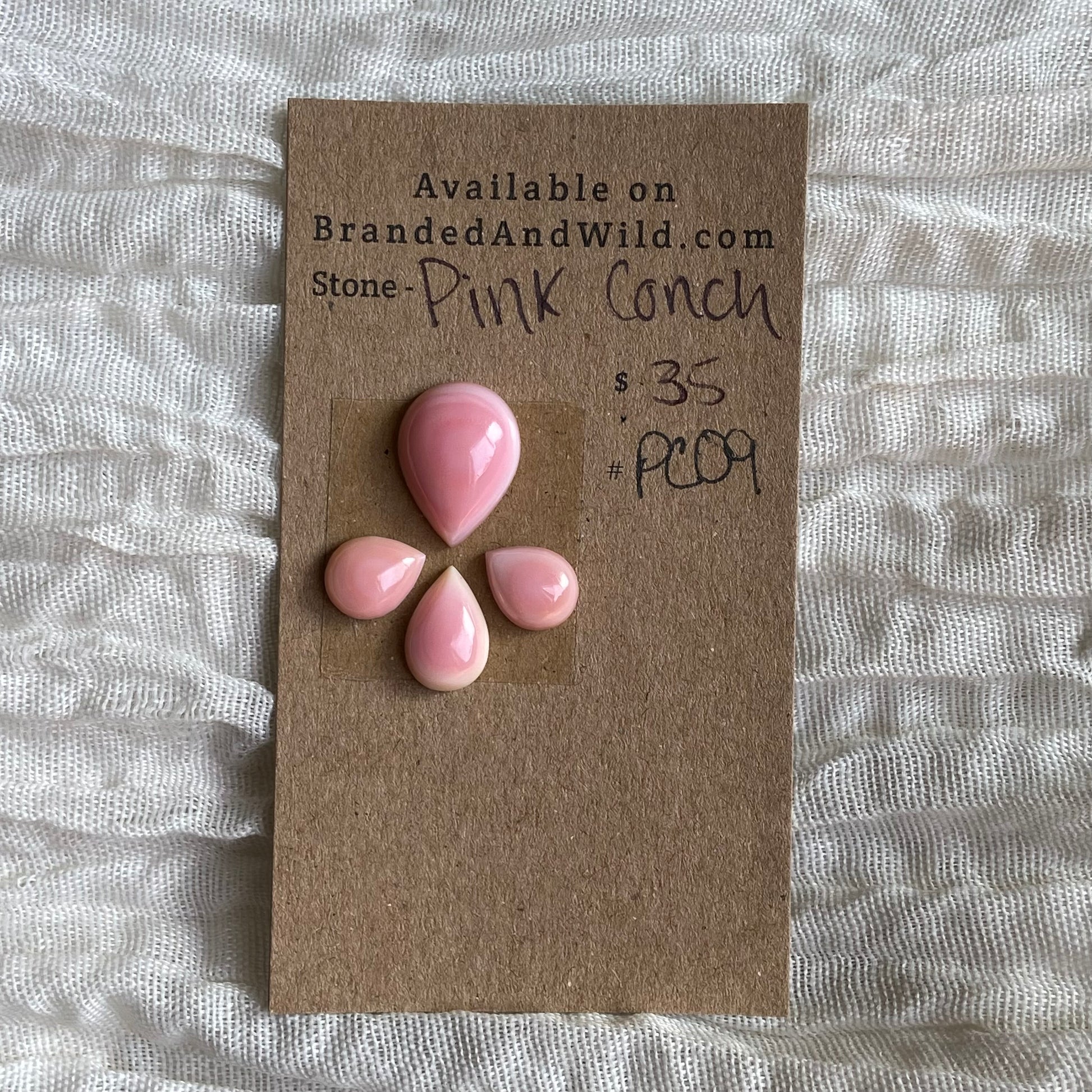 Pink Conch Cabochon - PC09 249C2950-DCEC-4A0A-93F7-CEB814A12FCF Brandedandwild.com