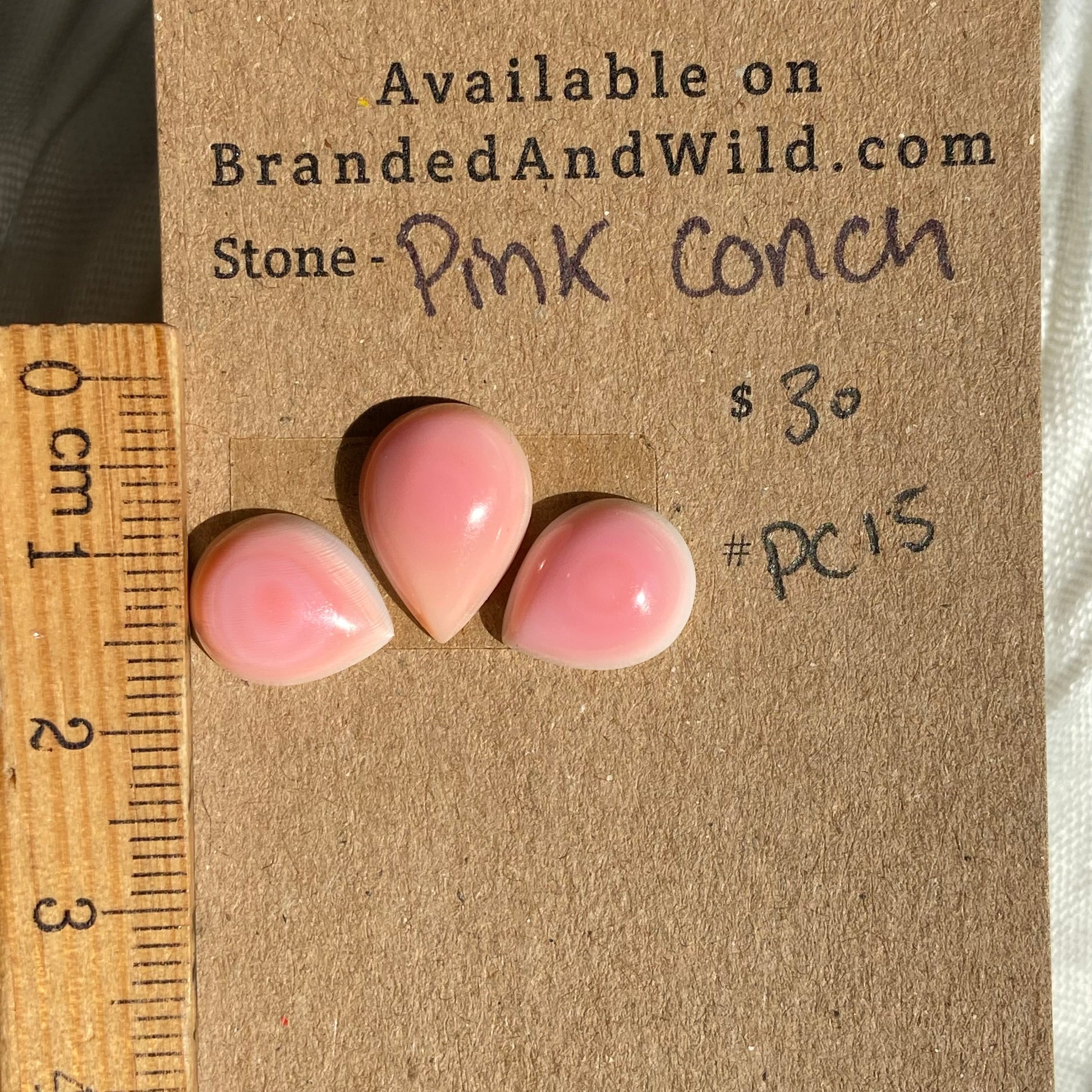 Pink Conch Cabochon - PC15 24B38108-7A2B-4FBD-B566-617858D237E7 Brandedandwild.com