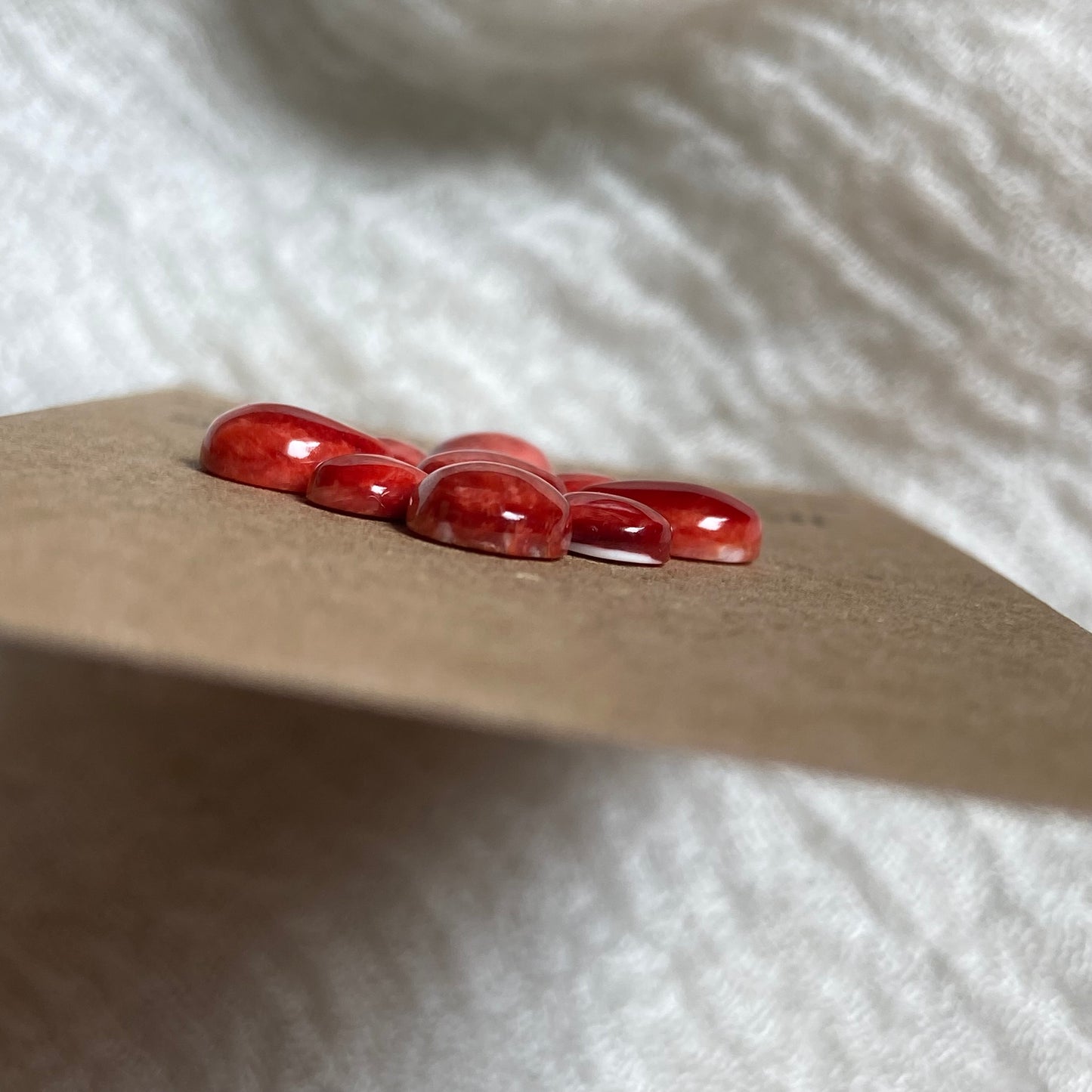 Oyster Shell Cabochon - OS82