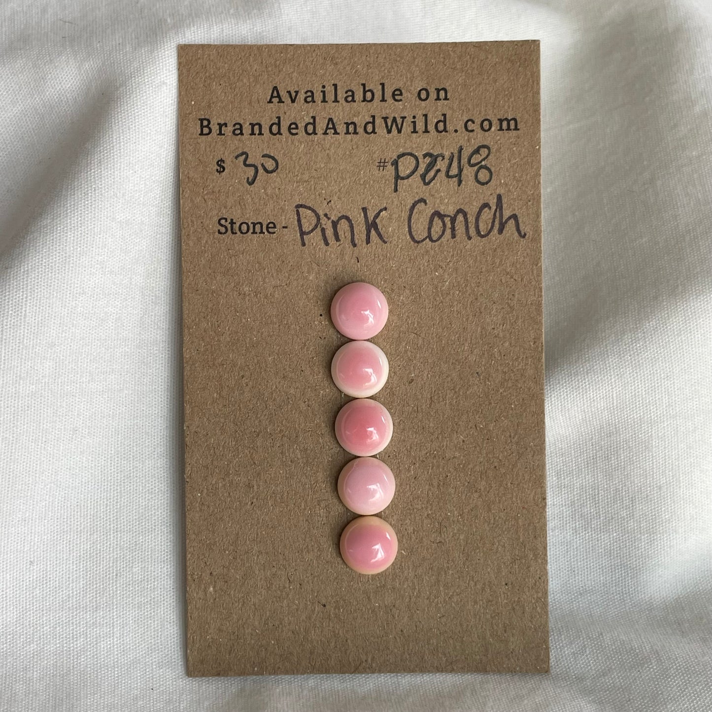 Pink Conch Cabochon - PC48
