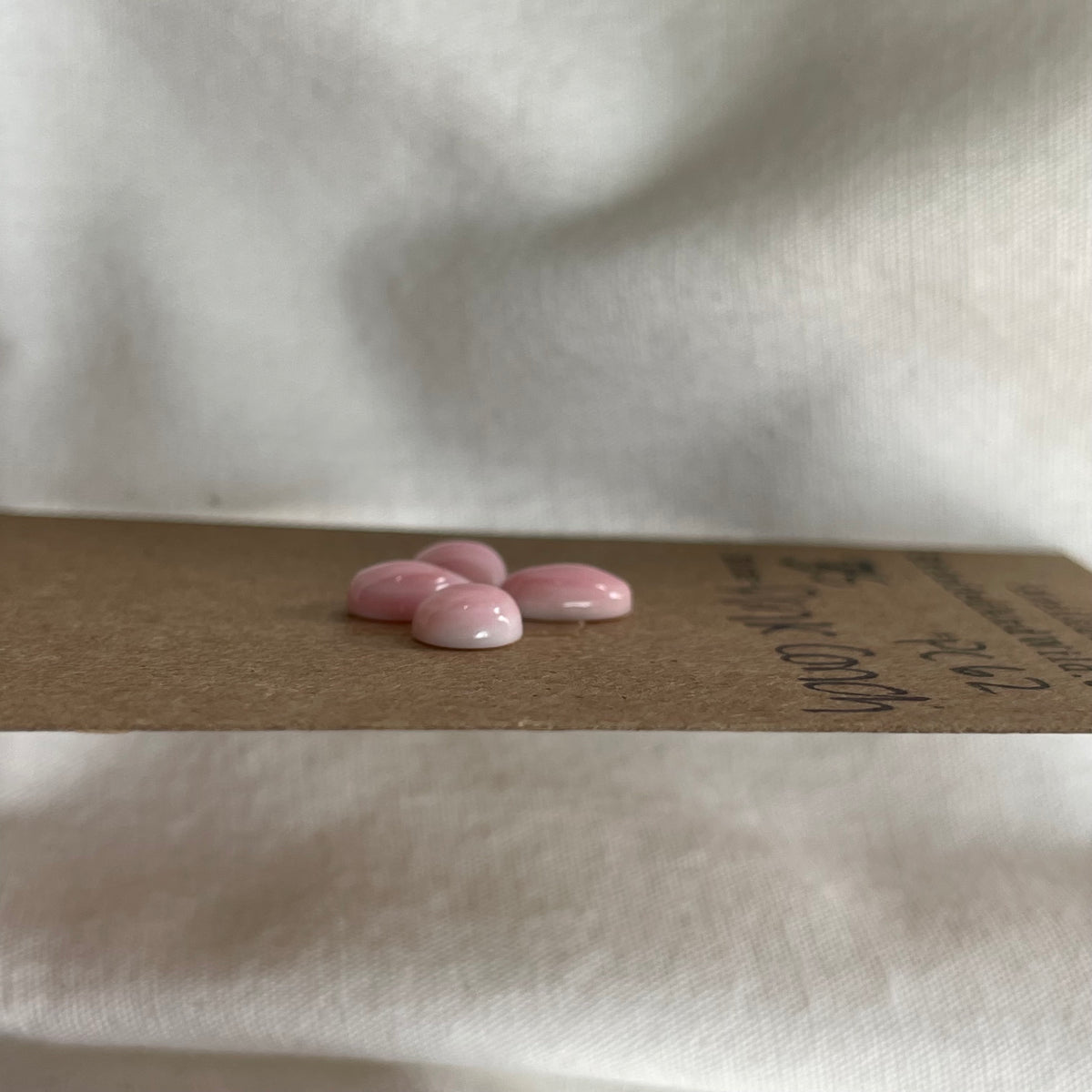 Pink Conch Cabochon - PC62 24D94059-2E5C-4397-BC0B-7316DC612B64 Brandedandwild.com
