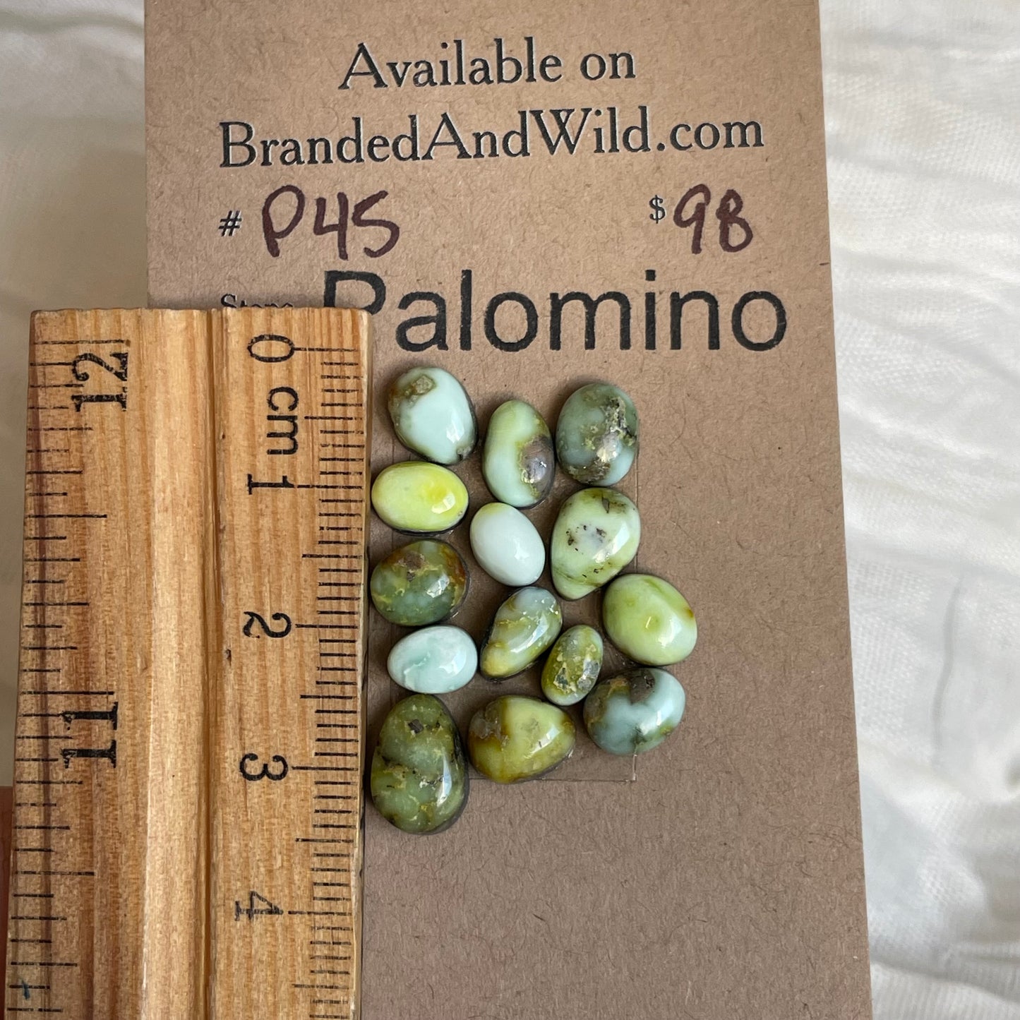 Palomino Cabochon - P45 24DA8061-CD0E-41A8-98F5-34DB903A7B39 Brandedandwild.com