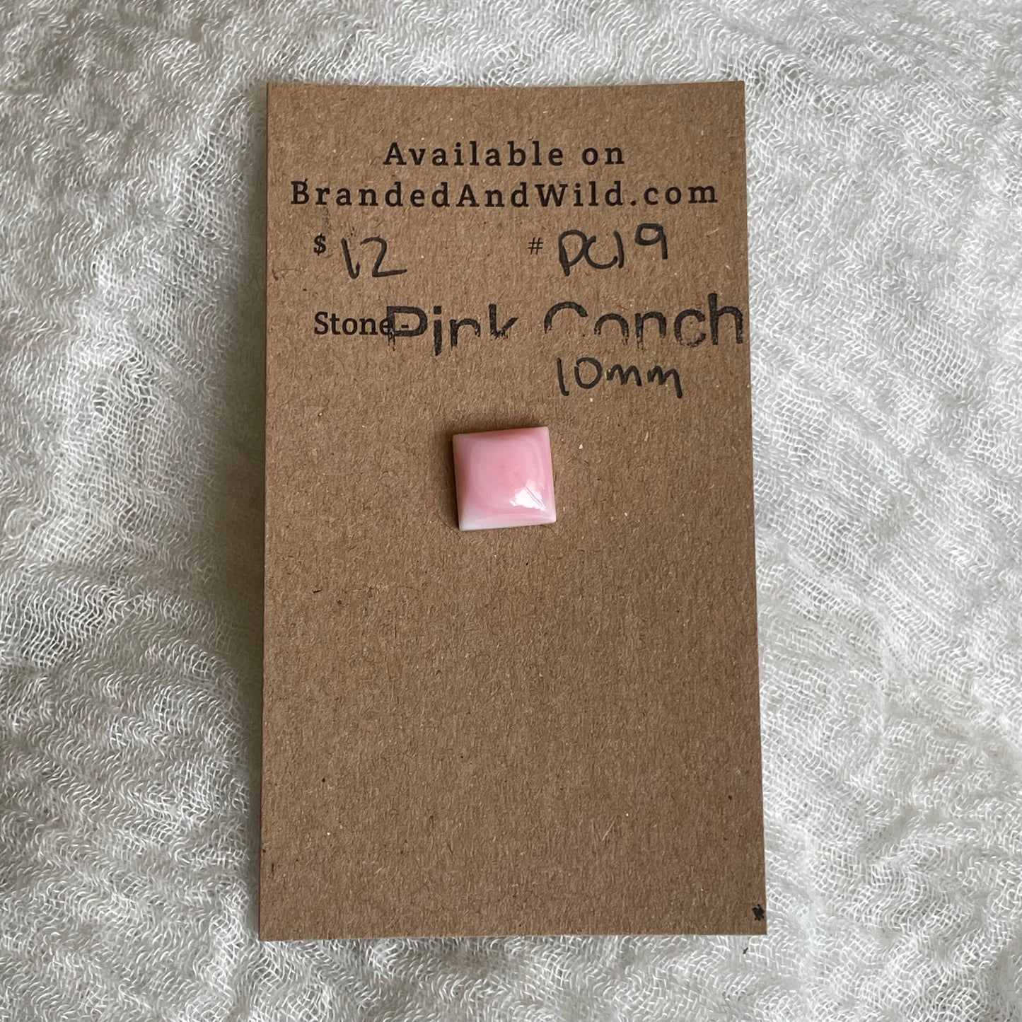 Pink Conch Cabochon - PC19