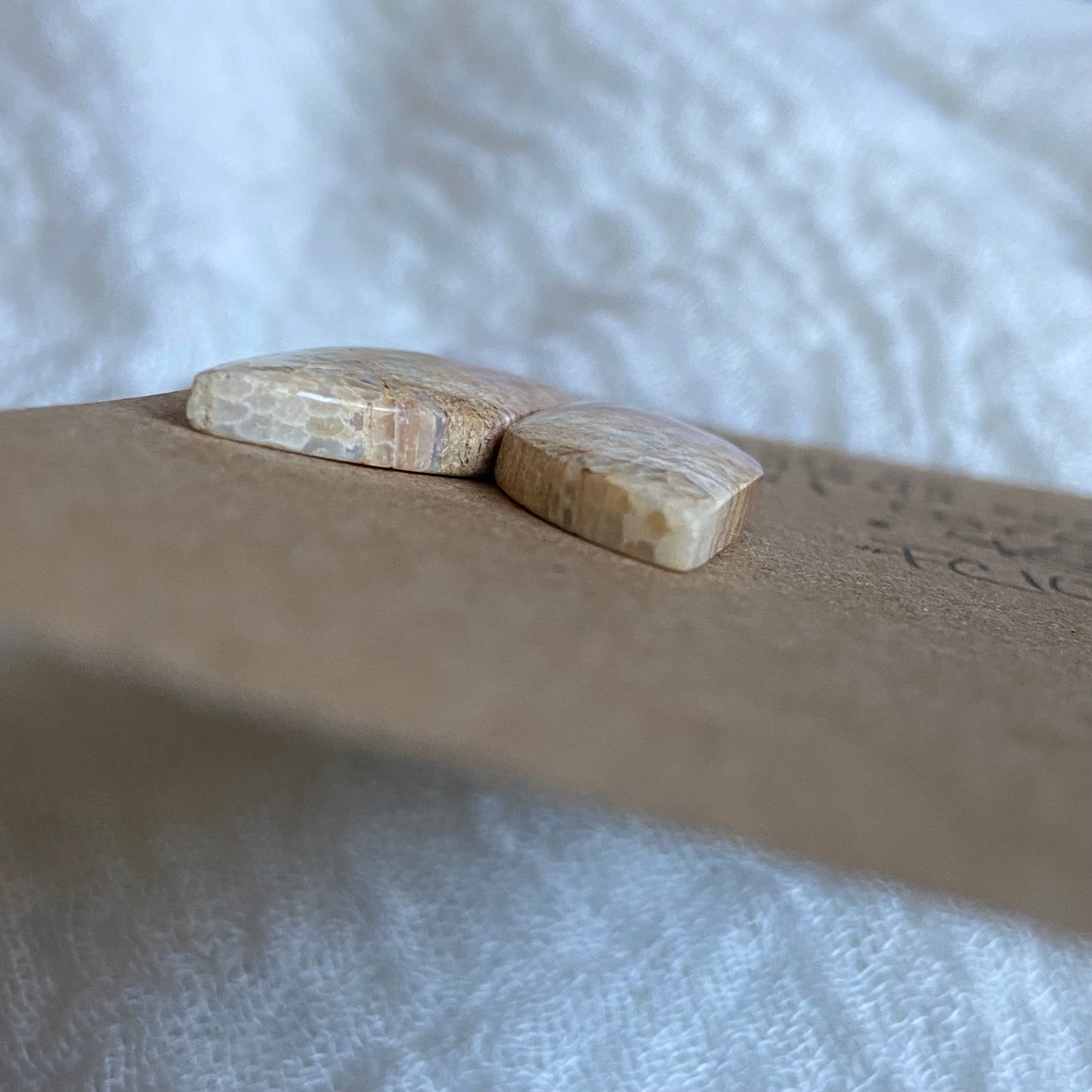 Fossil Coral Cabochon - FC106