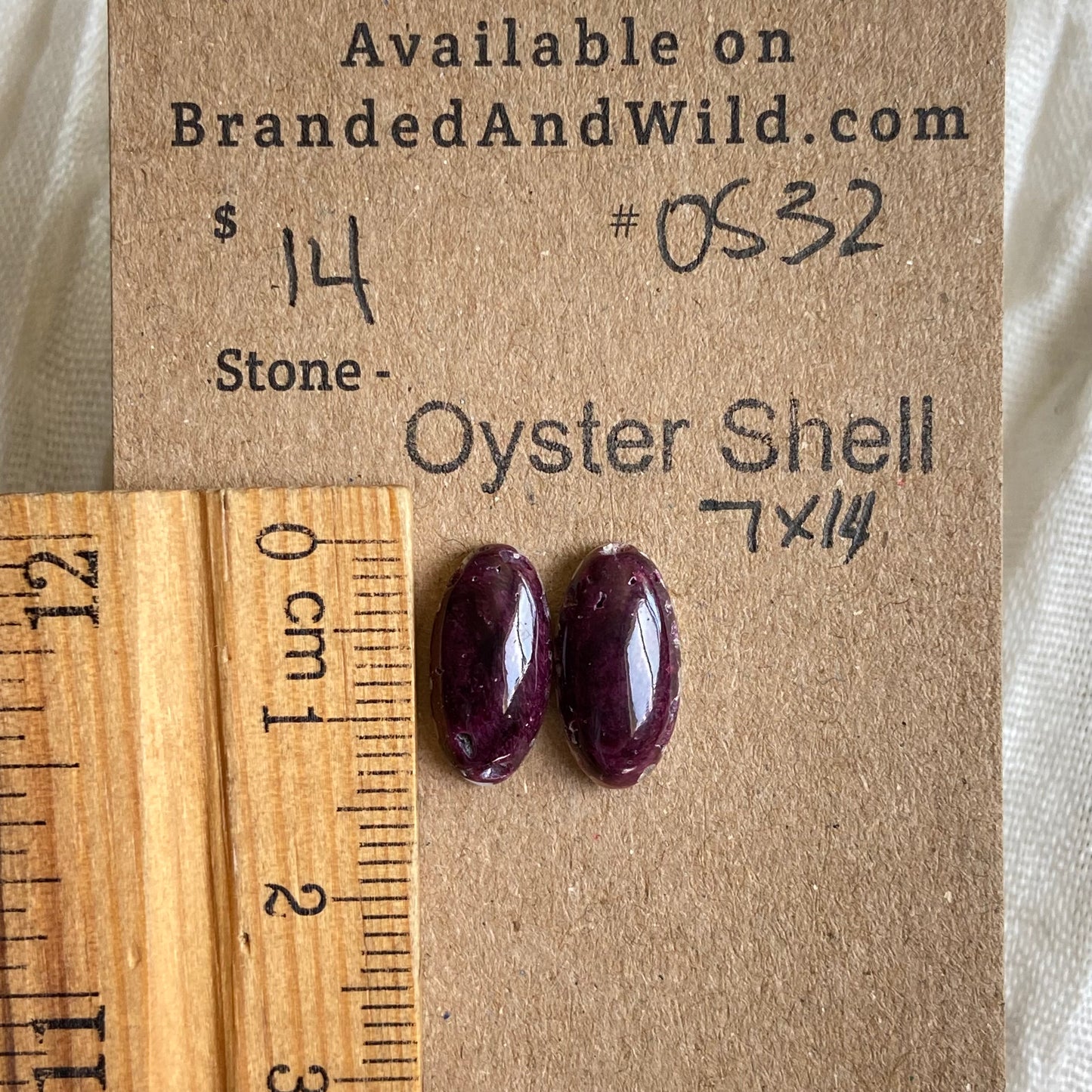 Oyster Shell Cabochon - OS32
