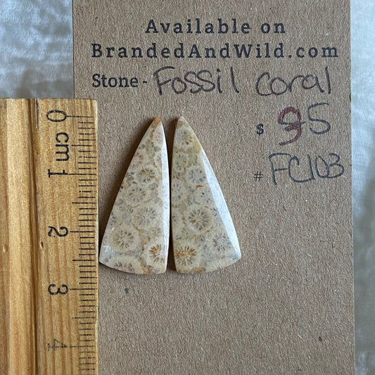 Fossil Coral Cabochon - FC103 25246FBA-6440-4350-BD5E-D95726304C63 Brandedandwild.com