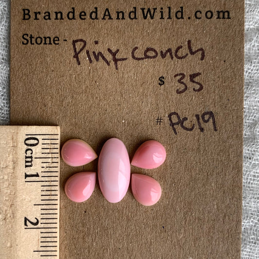 Pink Conch Cabochon - PC19