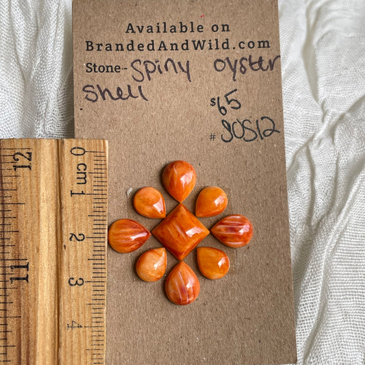 Spiny Oyster Shell Cabochon - SOS12 2537F644-87F1-4E4C-864E-3E8BC7293812 Brandedandwild.com