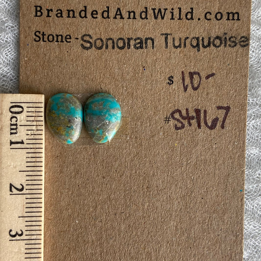 Sonoran Turquoise Cabochon - ST167