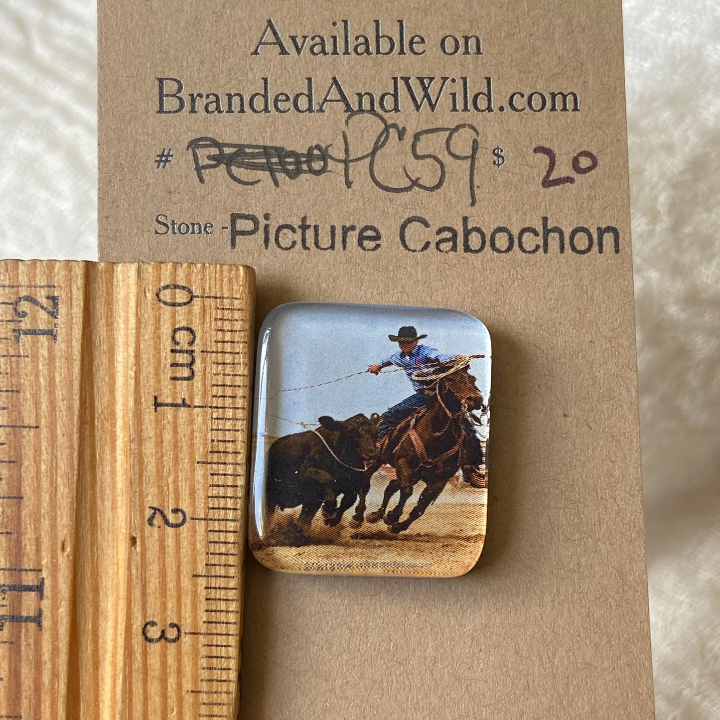 Glass Picture - Cabochon - PC59 255FC69F-EF32-4D4B-B25F-1EE70E41EF1F Brandedandwild.com