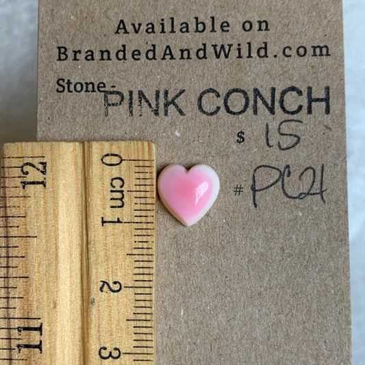 Pink Conch Cabochon - PC21