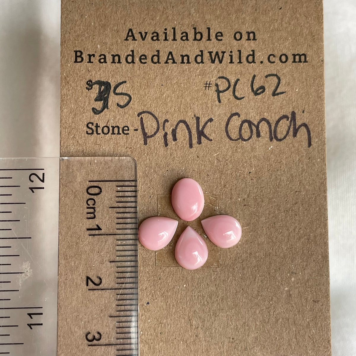 Pink Conch Cabochon - PC62 256C5E77-2D90-4555-BA35-1DC7A21BBBA9 Brandedandwild.com
