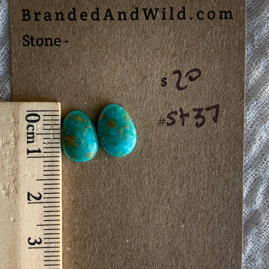 Sonoran Turquoise Cabochon - ST37