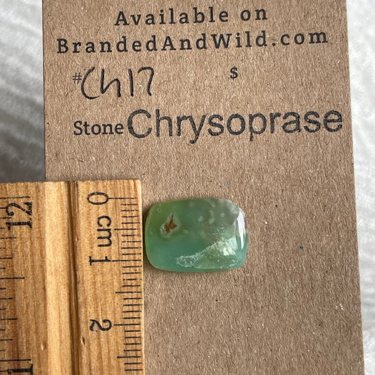 Chrysoprase Cabochon - Ch17 25AF255B-4AA4-48DD-8190-663090D6B0B1 Brandedandwild.com