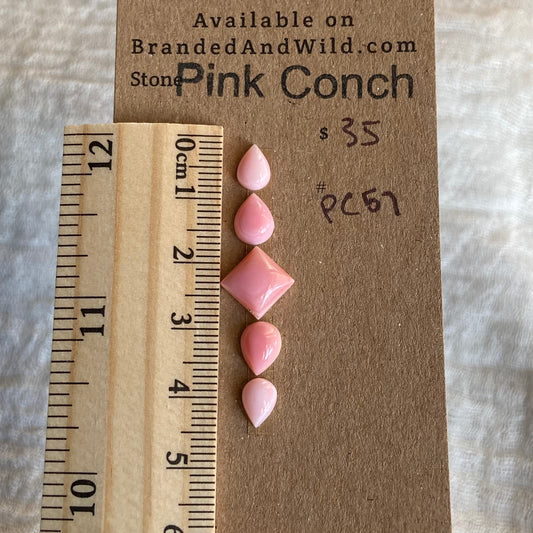 Pink Conch Cabochon - PC67