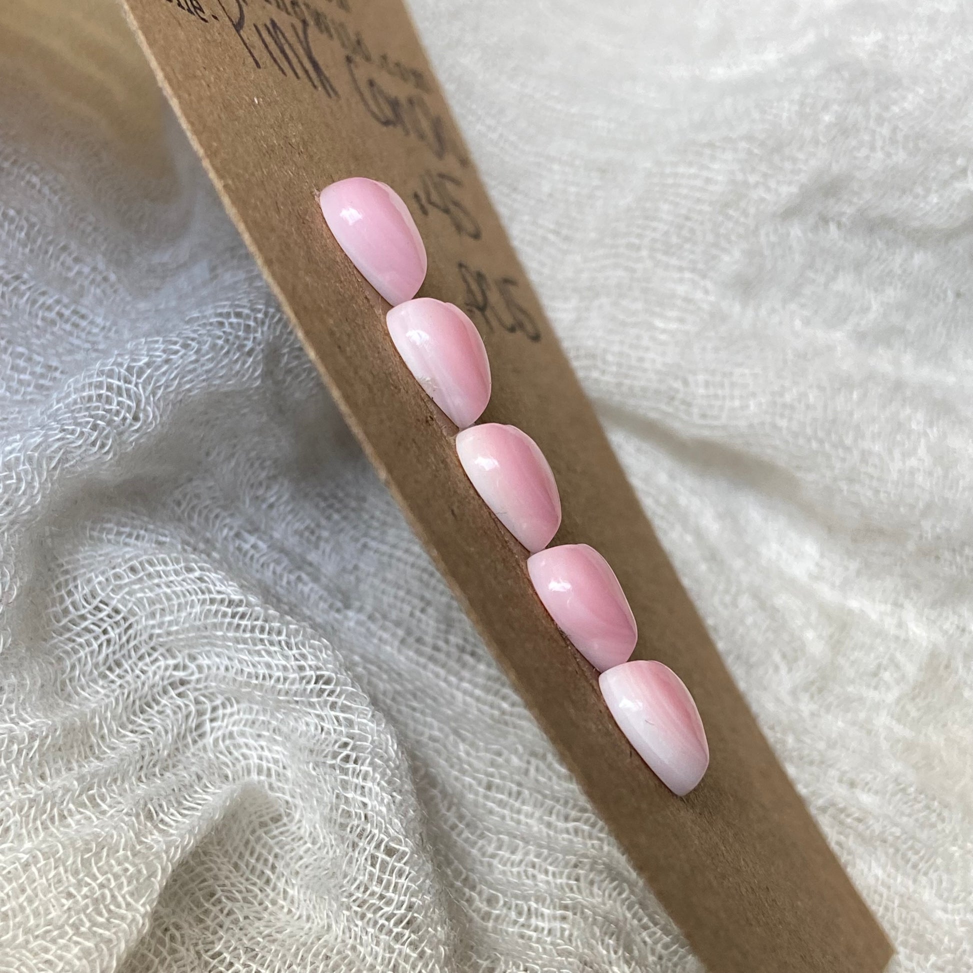 Pink Conch Cabochon - PC15 25C75F1F-A6FE-4D09-91F5-60B5BD28C1E9 Brandedandwild.com
