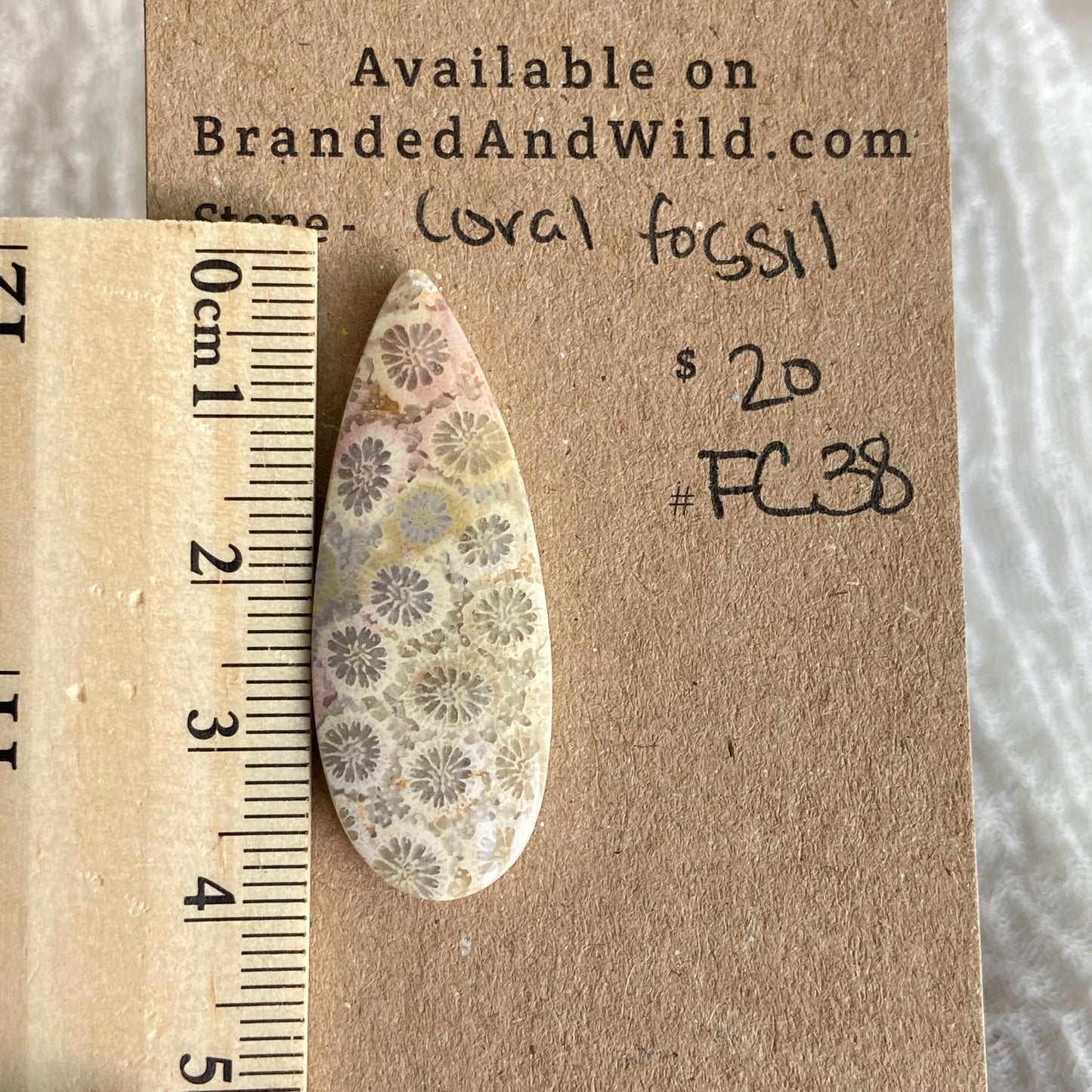 Fossil Coral Cabochon - FC38