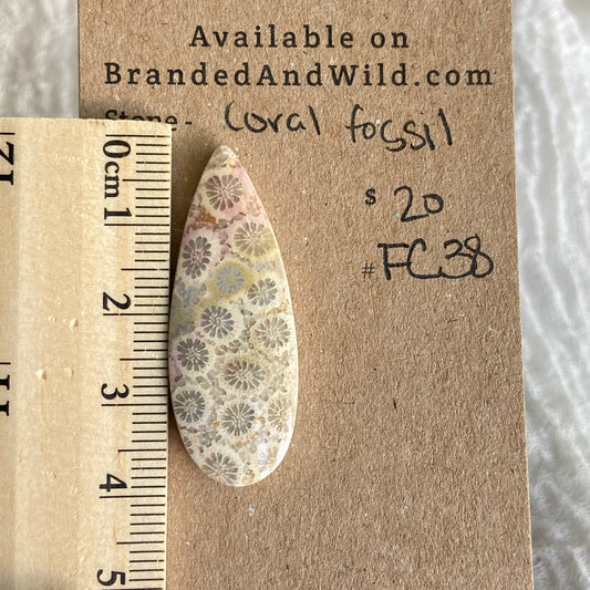 Fossil Coral Cabochon - FC38
