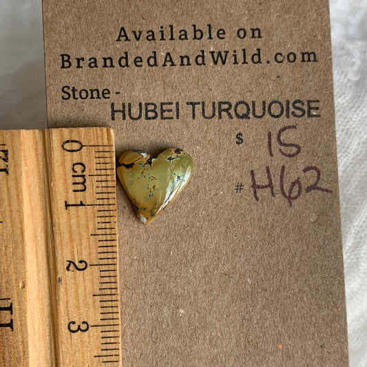 Turquoise Cabochon - H62
