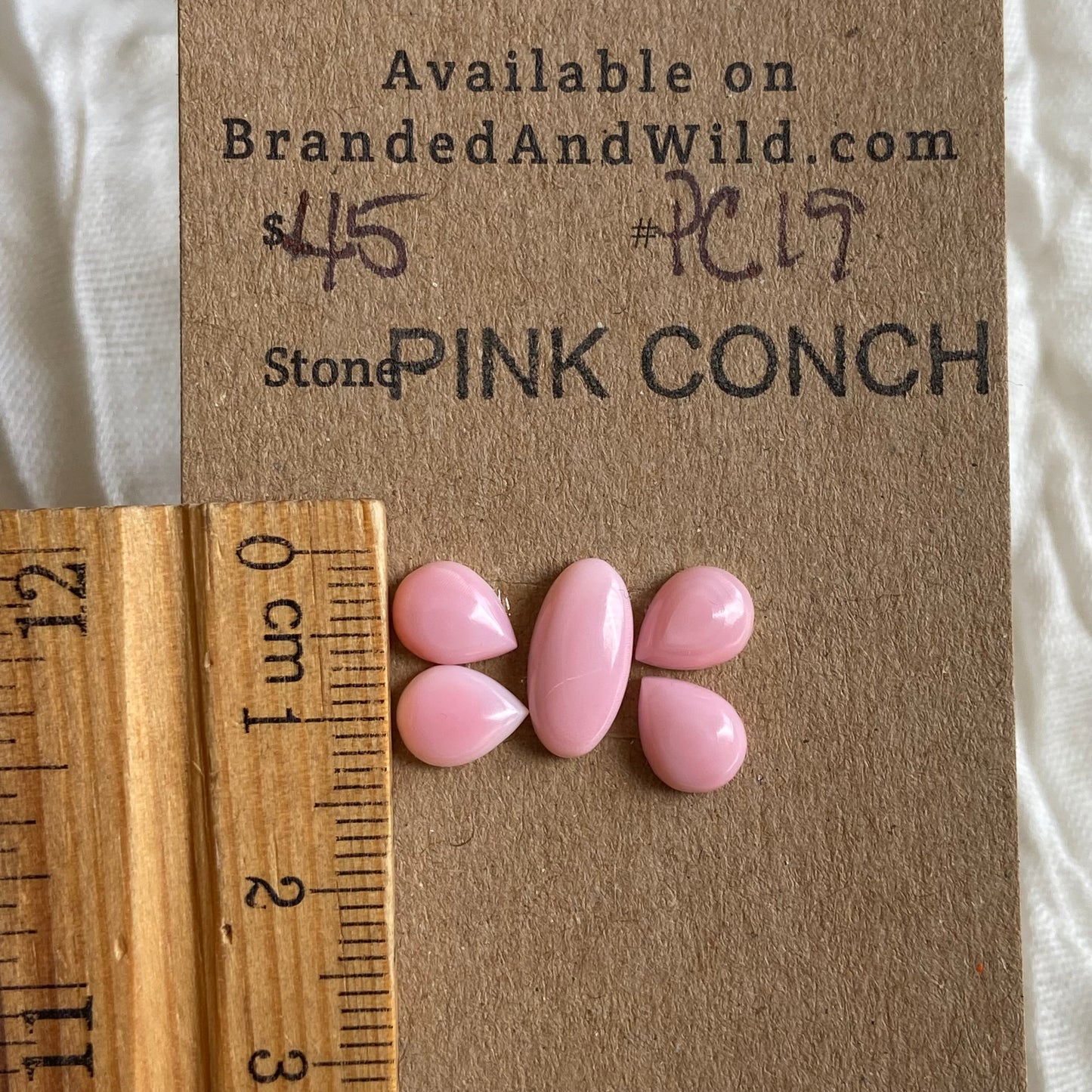 Pink Conch Cabochon - PC19 260B052A-5A26-4EA5-9F8A-C4BF367CC438 Brandedandwild.com