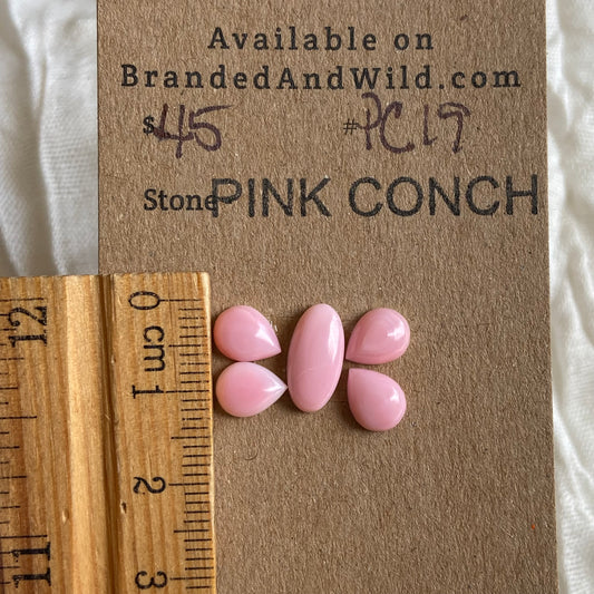 Pink Conch Cabochon - PC19 260B052A-5A26-4EA5-9F8A-C4BF367CC438 Brandedandwild.com