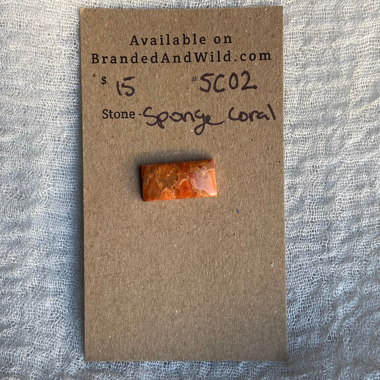 Sponge Coral Cabochon - SC02