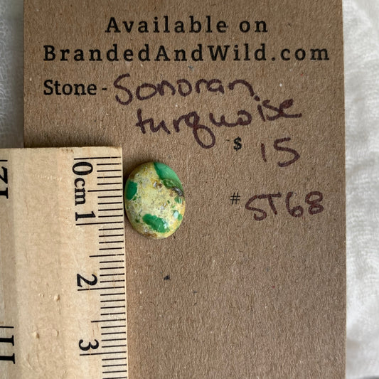 Sonoran Turquoise Cabochon - ST68