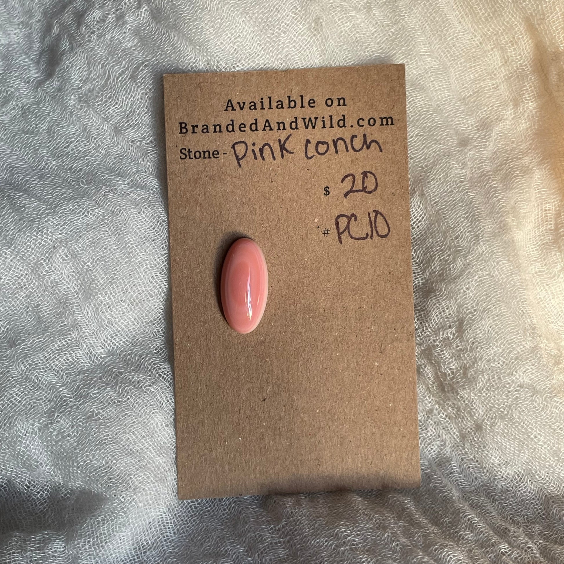 Pink Conch Cabochon - PC10 26439AF9-8B61-4D5A-9EDE-6FDA1766985B Brandedandwild.com