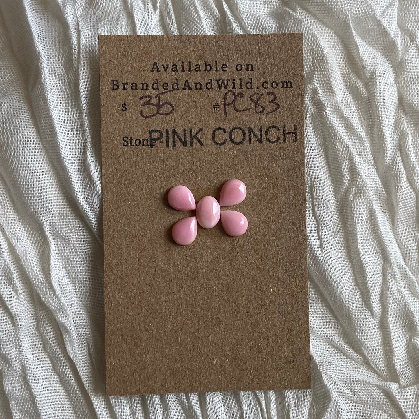 Pink Conch Cabochon - PC83 26A53CCD-FCA3-4346-B8A6-F3D6830C845B Brandedandwild.com