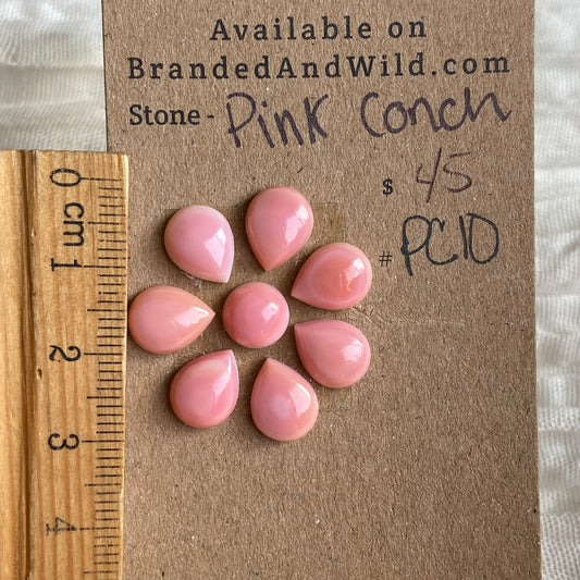 Pink Conch Cabochon - PC10 26BD2837-6F56-4FED-8CAF-2511759C1DED Brandedandwild.com