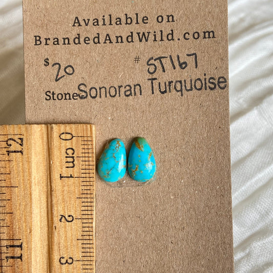 Sonoran Turquoise Cabochon - ST167 26CF6C56-92D4-4569-AD4F-CCF4FAC3CE06 Brandedandwild.com