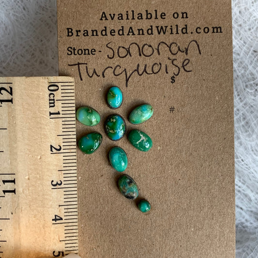 Sonoran Turquoise Cabochon - ST07