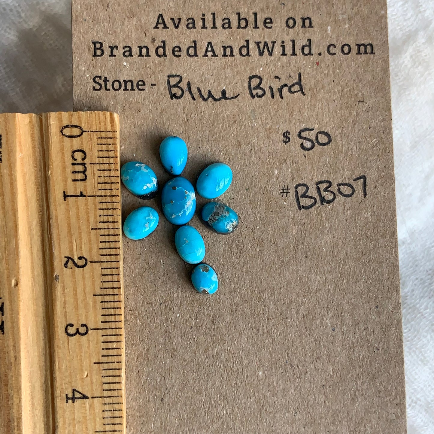 Blue Bird Turquoise Cabochon - BBT07