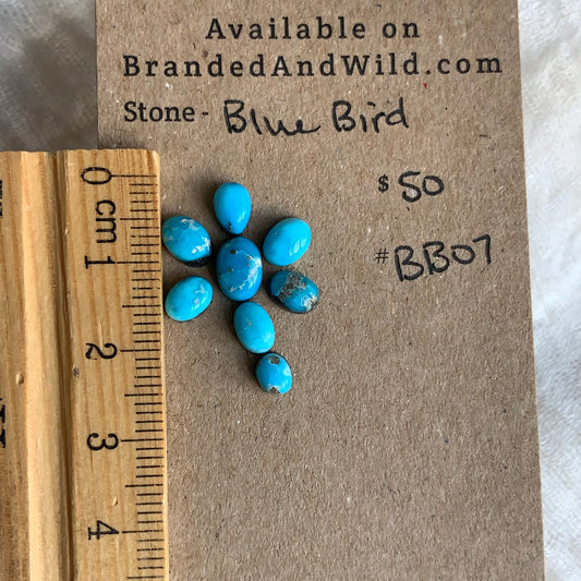 Blue Bird Turquoise Cabochon - BBT07