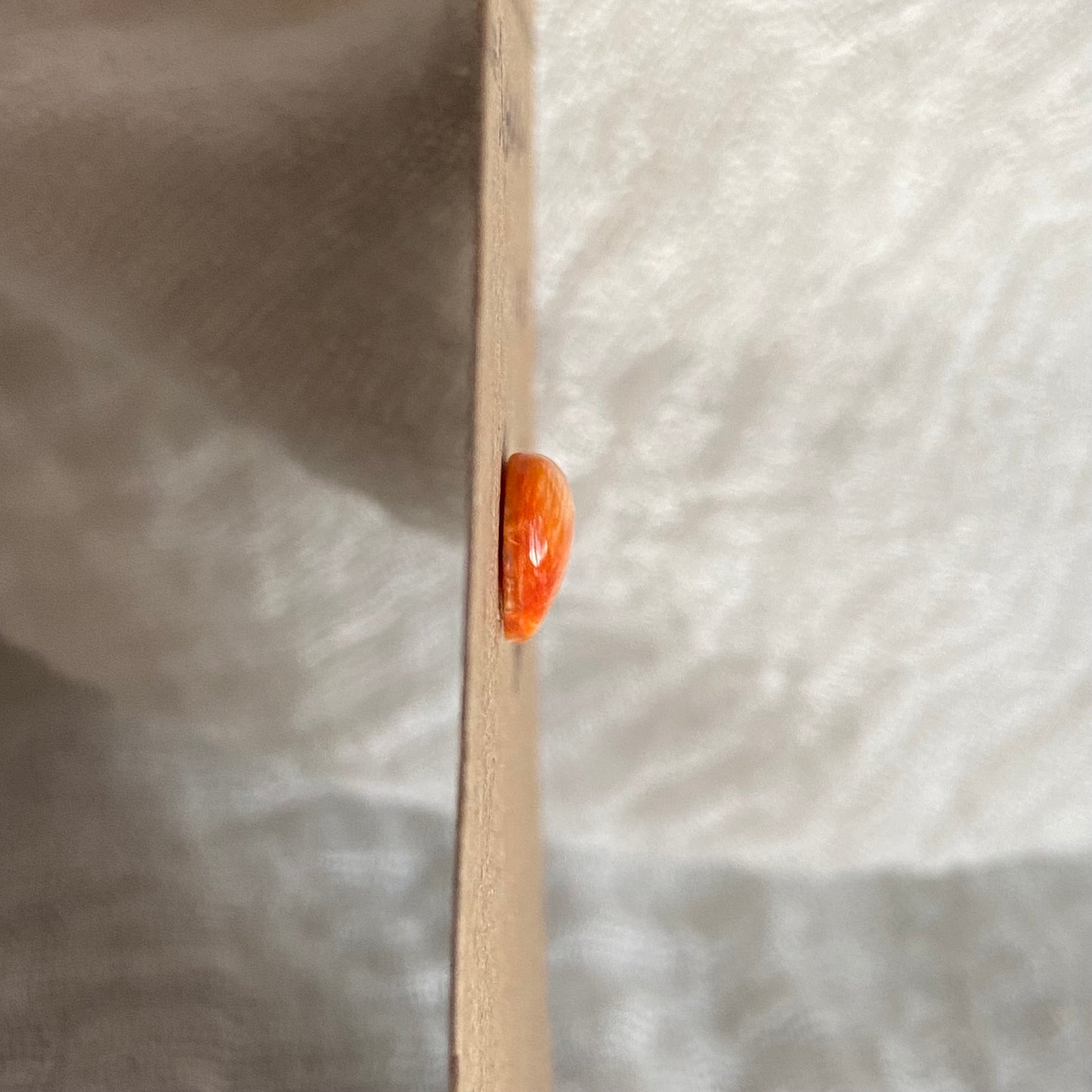 Oystershell Cabochon - OS11