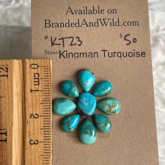 Kingman Turquoise Cabochon - KT23 273AA319-E7C8-4B14-AB46-3295ED51242D Brandedandwild.com