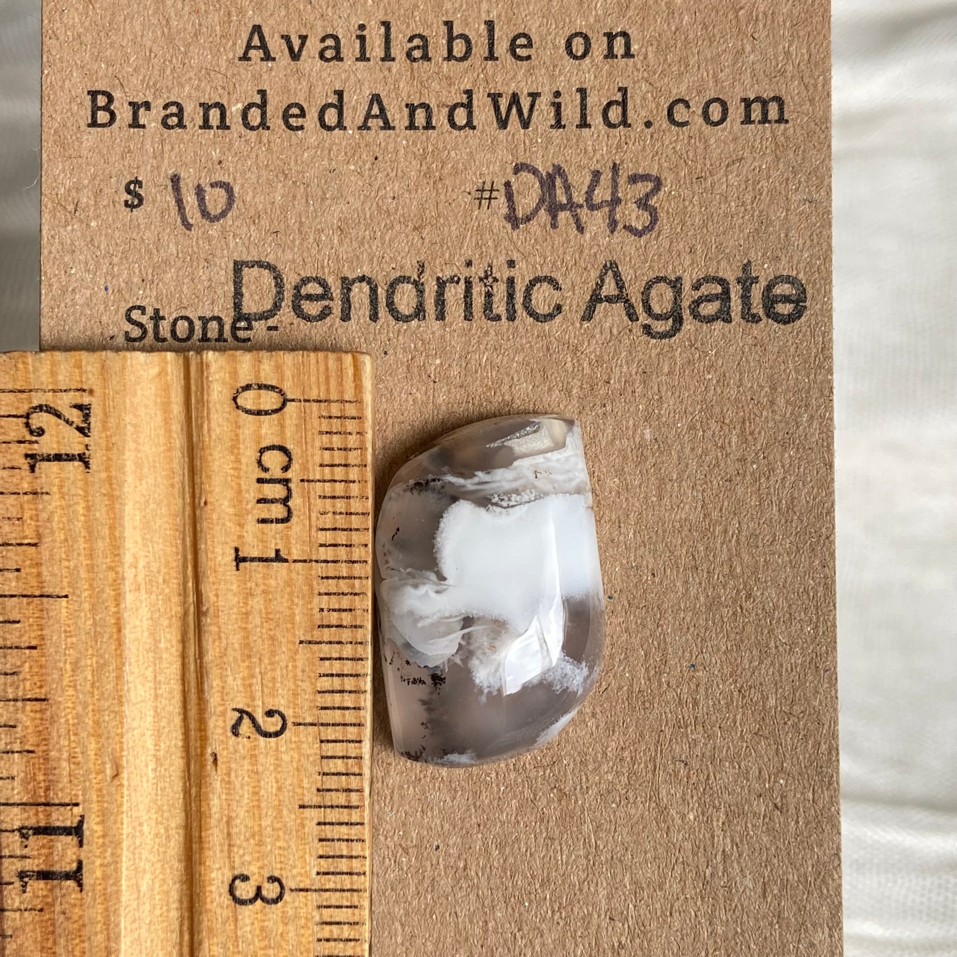 Dendritic Agate Cabochon - DA43 277DBED2-E12D-4DDD-968C-6127BFCF1ABC Brandedandwild.com
